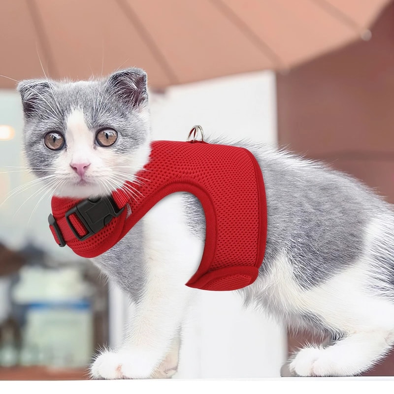 Large Escape Proof Cat Harness Soft Mesh Adjustable Walking Chest For Kittens And Small Pets 4