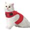 Large Escape Proof Cat Harness Soft Mesh Adjustable Walking Chest For Kittens And Small Pets 5