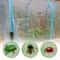 Mosquito Garden Bug Netting Plant Protection Mesh For Insects Birds And Bug Barrier 9