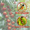 Mosquito Garden Bug Netting Plant Protection Mesh For Insects Birds And Bug Barrier 10