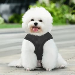 adjustable dog harness – breathable mesh, reflective jacket for puppies & small dogs