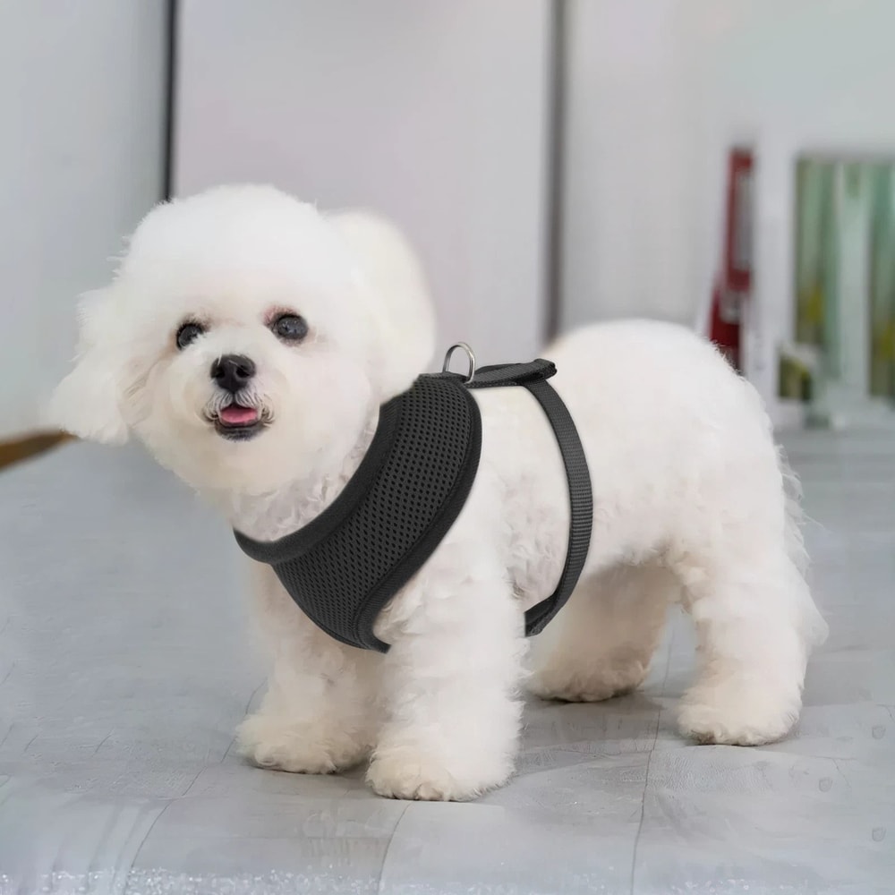Adjustable Dog Harness Breathable Mesh Reflective Jacket For Puppies Small Dogs 4