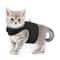 Adjustable EscapeProof Cat Harness Reflective Soft Mesh Walking Vest For Pet Comfort 5