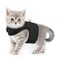 Adjustable EscapeProof Cat Harness Reflective Soft Mesh Walking Vest For Pet Comfort 5