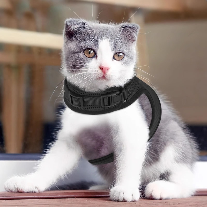 Adjustable EscapeProof Cat Harness Reflective Soft Mesh Walking Vest For Pet Comfort 4