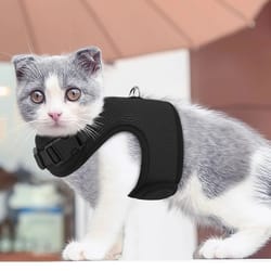 adjustable escape-proof cat harness – reflective soft mesh walking vest for pet comfort