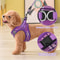Breathable Mesh Dog Harness With Adjustable Control And Reflective Leash Set Perfect For Comfortab 4