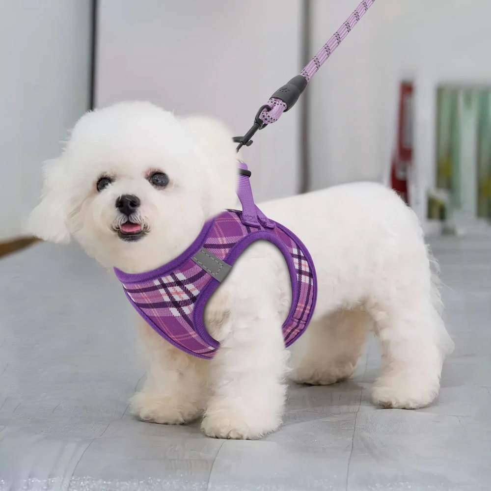 Breathable Mesh Dog Harness With Adjustable Control And Reflective Leash Set Perfect For Comfortab 1