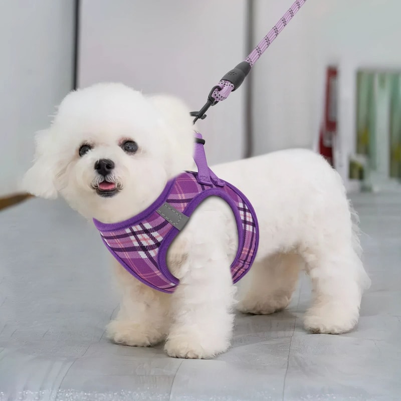 Breathable Mesh Dog Harness With Adjustable Control And Reflective Leash Set Perfect For Comfortab 1