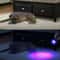 LED Flashlight Blacklight Inspection Lamp Torch Light For Detection Security 5
