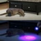 LED Flashlight Blacklight Inspection Lamp Torch Light For Detection Security 5
