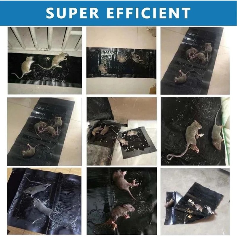 Large Mouse Glue Traps Rodent Catcher Super Sticky Rat Board Indoor Use 5