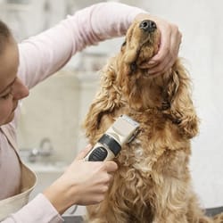 dog & cat grooming kit cordless rechargeable hair clipper trimmer set for pets