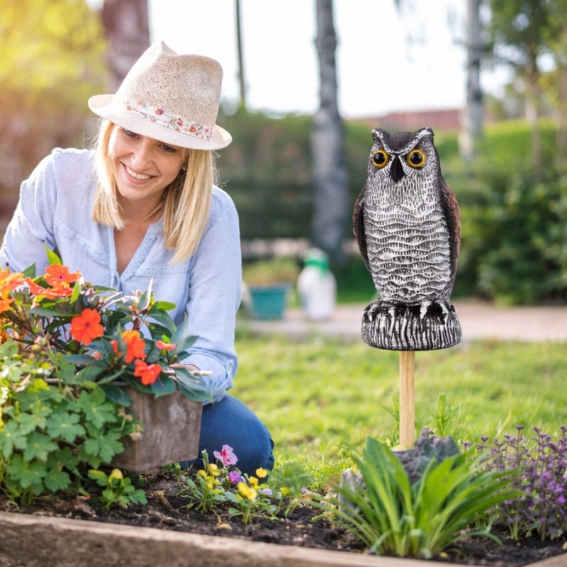 Owl Decoy Statue For Garden Protection Scare Birds Pigeons And Squirrels Away 0