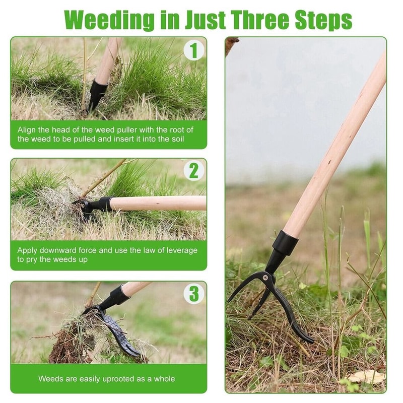 Stand Up Weed Puller Tool For Garden Rust Proof Weed Root Remover With Comfortable Handle 6