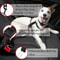 Adjustable Pet Safety Seatbelt For Car Nylon Harness For Dogs And Cats 2