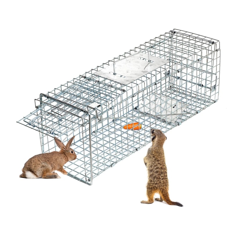 Humane Live Animal Trap Cage For Rabbit Raccoon Squirrel Control Durable Easy Release Design 5