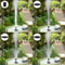 Solar Bird Bath Fountain Pump With 6 Nozzles For Pond And Garden Decor 2