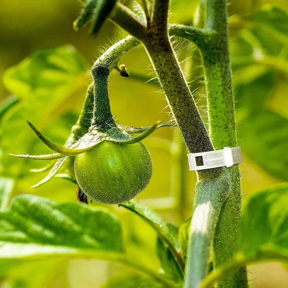 Tomato Trellis Clips Reusable Plant Support Clips For Garden Vines 7
