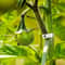 Tomato Trellis Clips Reusable Plant Support Clips For Garden Vines 7