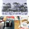 Stainless Steel Hose Clamp Assortment Kit With Sizes Adjustable Worm Gear Clamps 1