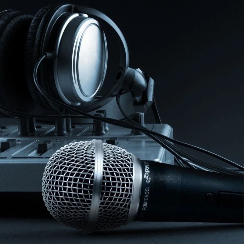 Professional Dynamic Handheld Microphone With Pop Filter And XLR Connectivity 4