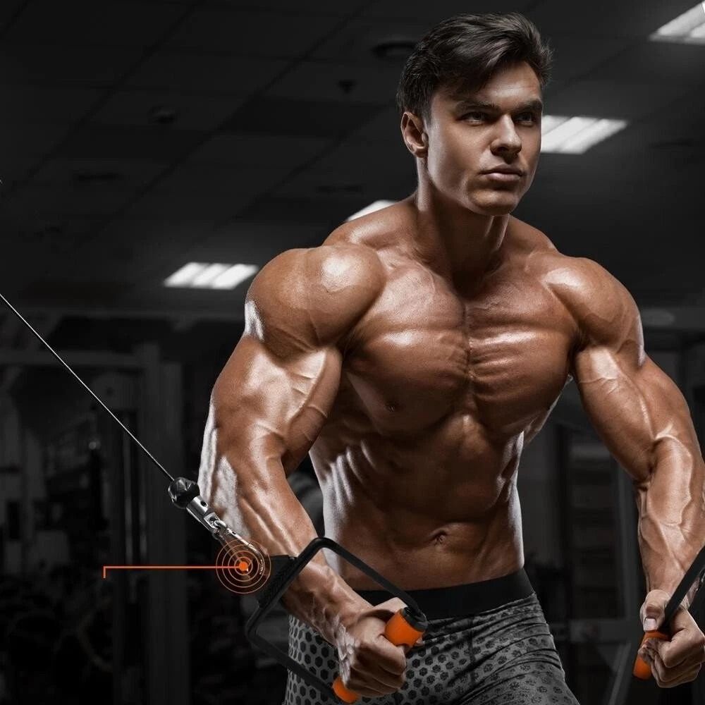 Handle Cable Attachment For Seated Rows And Home Gym Workouts 3