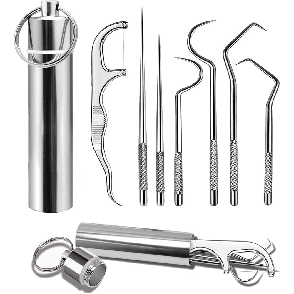 Portable Toothpick Set Stainless Steel Reusable Dental Pick Kit With Travel Case 0