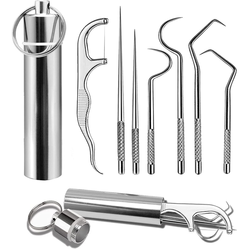 Portable Toothpick Set Stainless Steel Reusable Dental Pick Kit With Travel Case 0