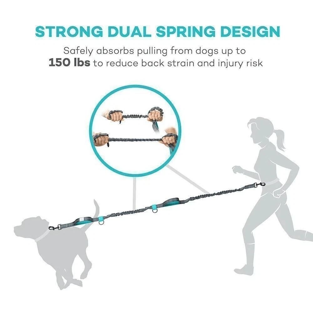 Hands Free Dog Leash With Waist Pouch Reflective Bungee Running Belt 1