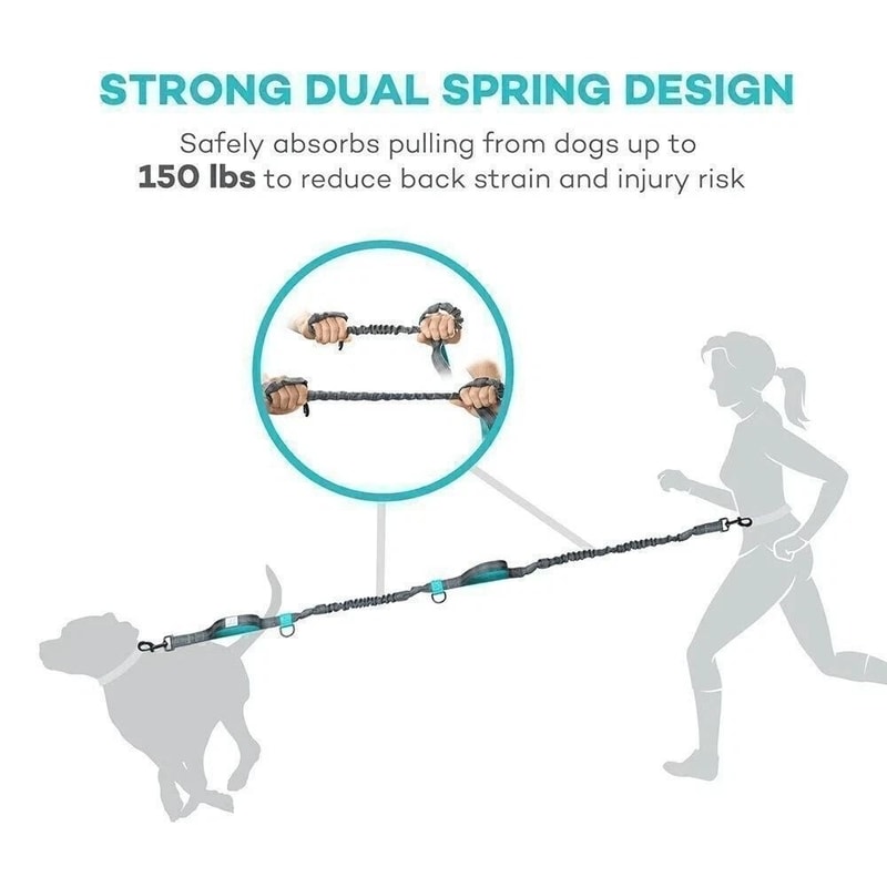 Hands Free Dog Leash With Waist Pouch Reflective Bungee Running Belt 1