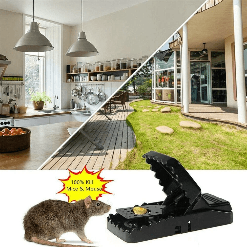 Reusable Mouse Traps For Indoor Rodent Control 2