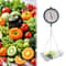 Premium Dial Hanging Scale With Galvanized Tray Commercial Kitchen Scale 2