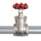 Premium Stainless Steel Gate Valve Heavy Duty CFM NPT Threaded 4