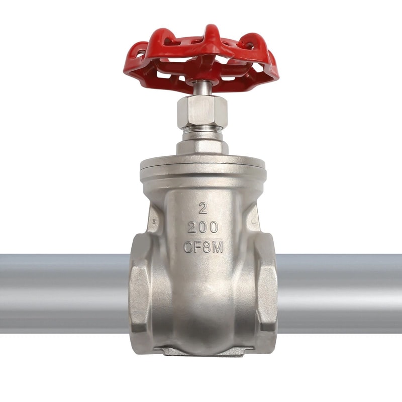 Premium Stainless Steel Gate Valve Heavy Duty CFM NPT Threaded 4