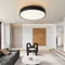 Premium Modern Dimmable LED Ceiling Light Round Flush Mount Round LED Ceiling Fixture 1