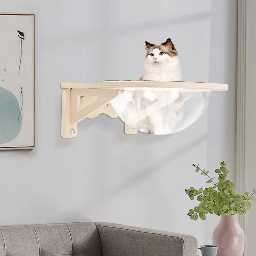 Premium Wooden Wall Mounted Cat Wall Shelf With Clear Space Capsule Lounge 1