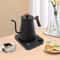 Precision Electric Gooseneck Kettle Pour Over Kettle For Coffee Tea Brewing 0
