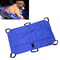 Portable Dog Stretcher Pet Rescue Carrier For Emergency Injury First Aid 9
