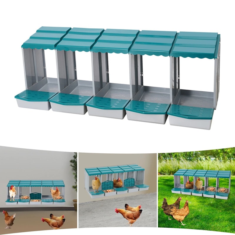 Compartment Chicken Nesting Box With Roll Away Egg Collection 5