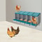 Compartment Chicken Nesting Box With Roll Away Egg Collection 2