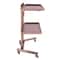 Rose Gold Salon Trolley Cart With Folding Rolling Tray For Barber Shop And Beauty Station 13