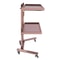 Rose Gold Salon Trolley Cart With Folding Rolling Tray For Barber Shop And Beauty Station 13