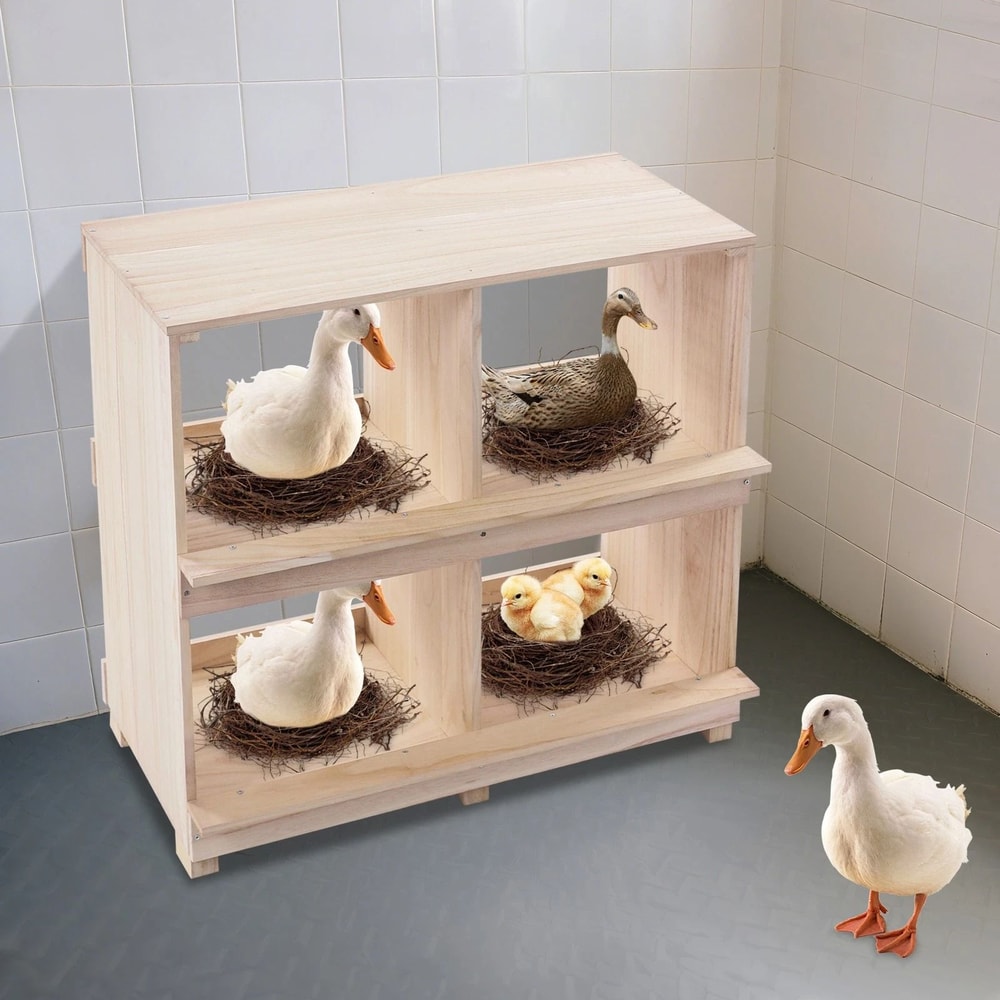 Chicken Nesting Box Hole Wooden Laying Box For Hens And Poultry Coops 3