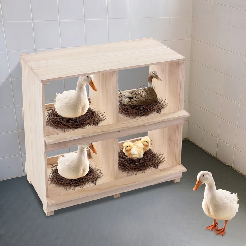 Chicken Nesting Box Hole Wooden Laying Box For Hens And Poultry Coops 3