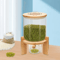 Glass Rice Dispenser And Grain Container With Wood Stand Countertop Dry Food Cereal Organizer 7