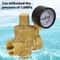 Premium Brass Water Pressure Regulator Valve DN With Gauge Adjustable Pressure Reducer 3