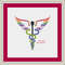 Medical_symbol_e6.jpg