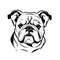 MR-eatons-28022024td0015-1552024195744.jpeg