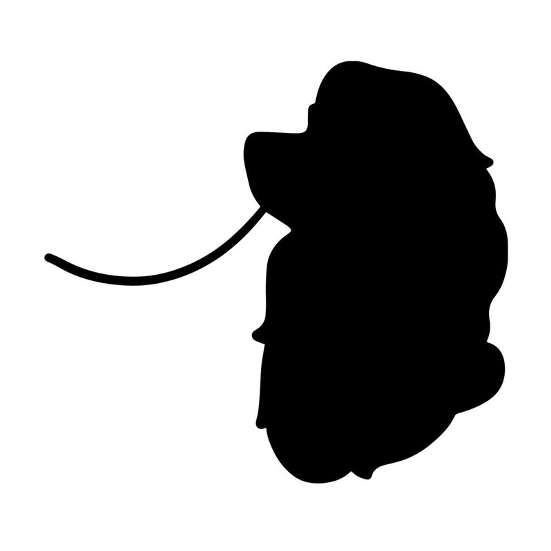 MR-eatons-dn24012024ht181-1652024151147.jpeg